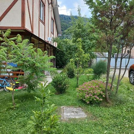 Zelena Sadyba Bila Stavka Jaremče Exteriér fotografie