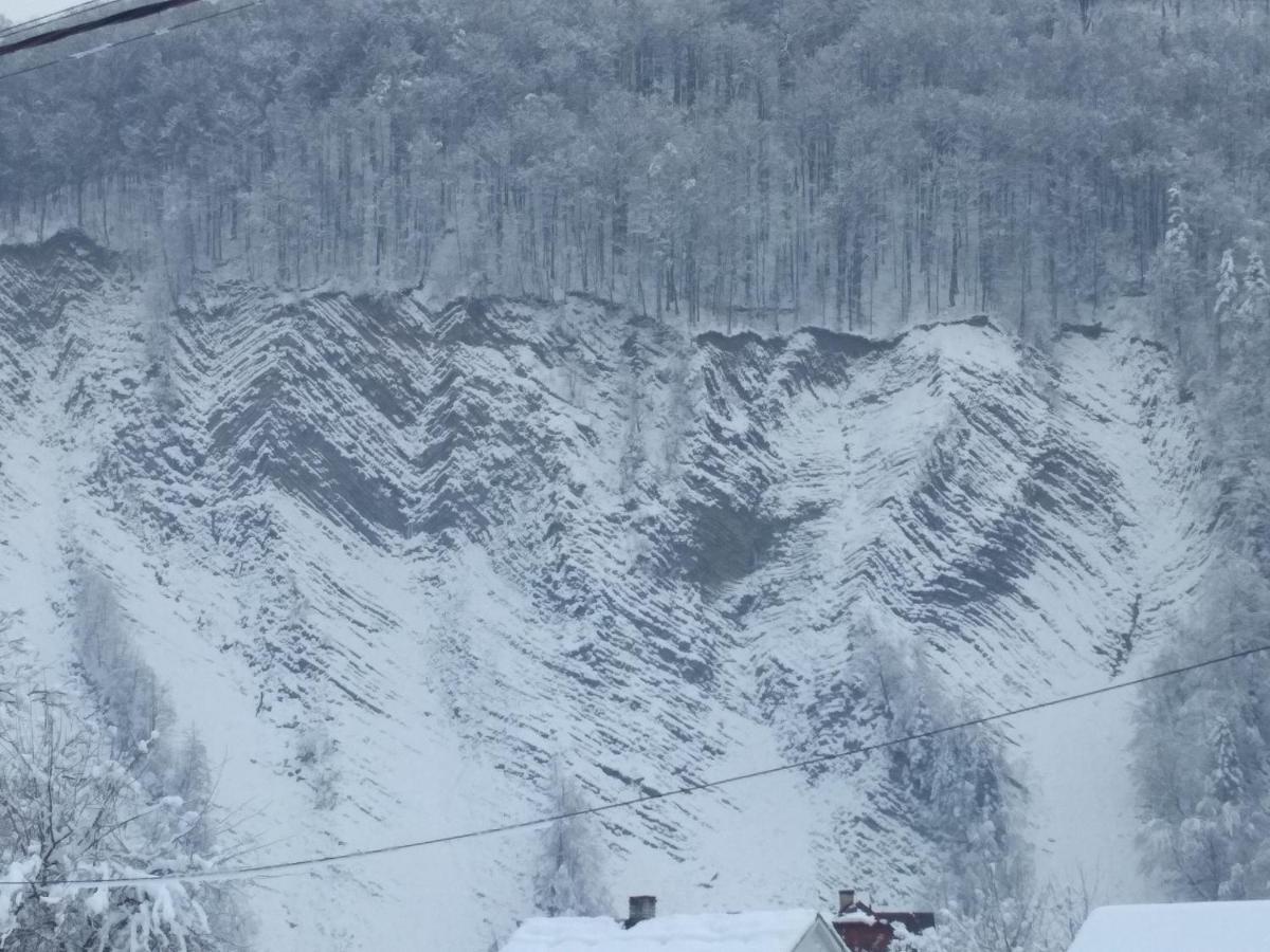Zelena Sadyba Bila Stavka Jaremče Exteriér fotografie
