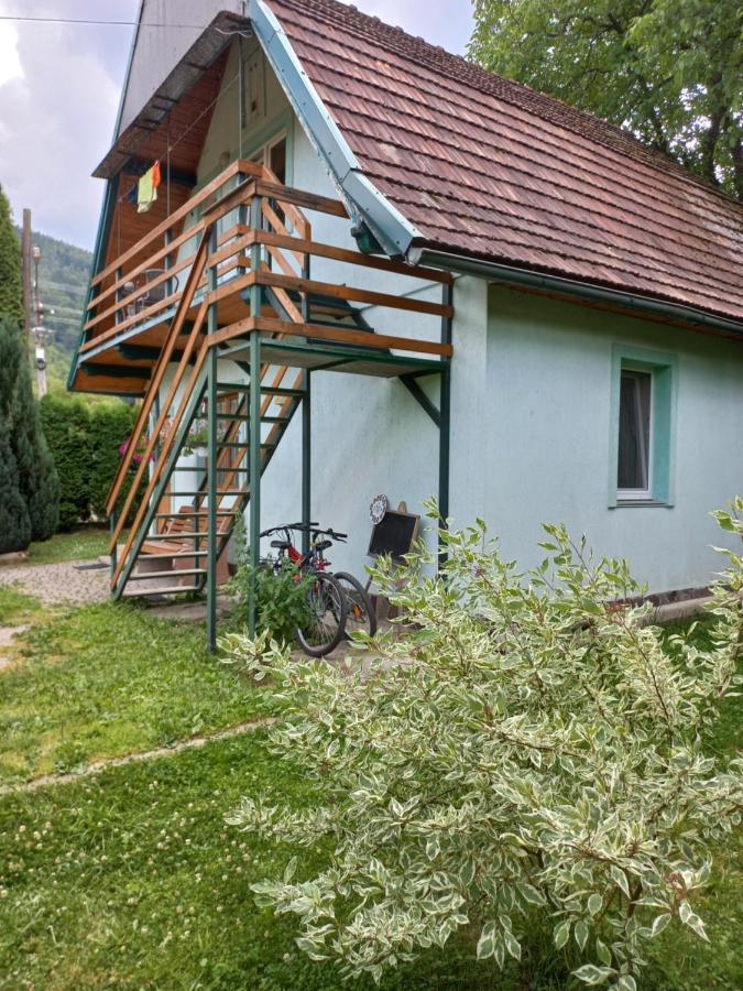 Zelena Sadyba Bila Stavka Jaremče Exteriér fotografie