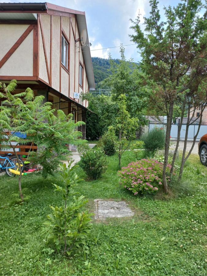 Zelena Sadyba Bila Stavka Jaremče Exteriér fotografie