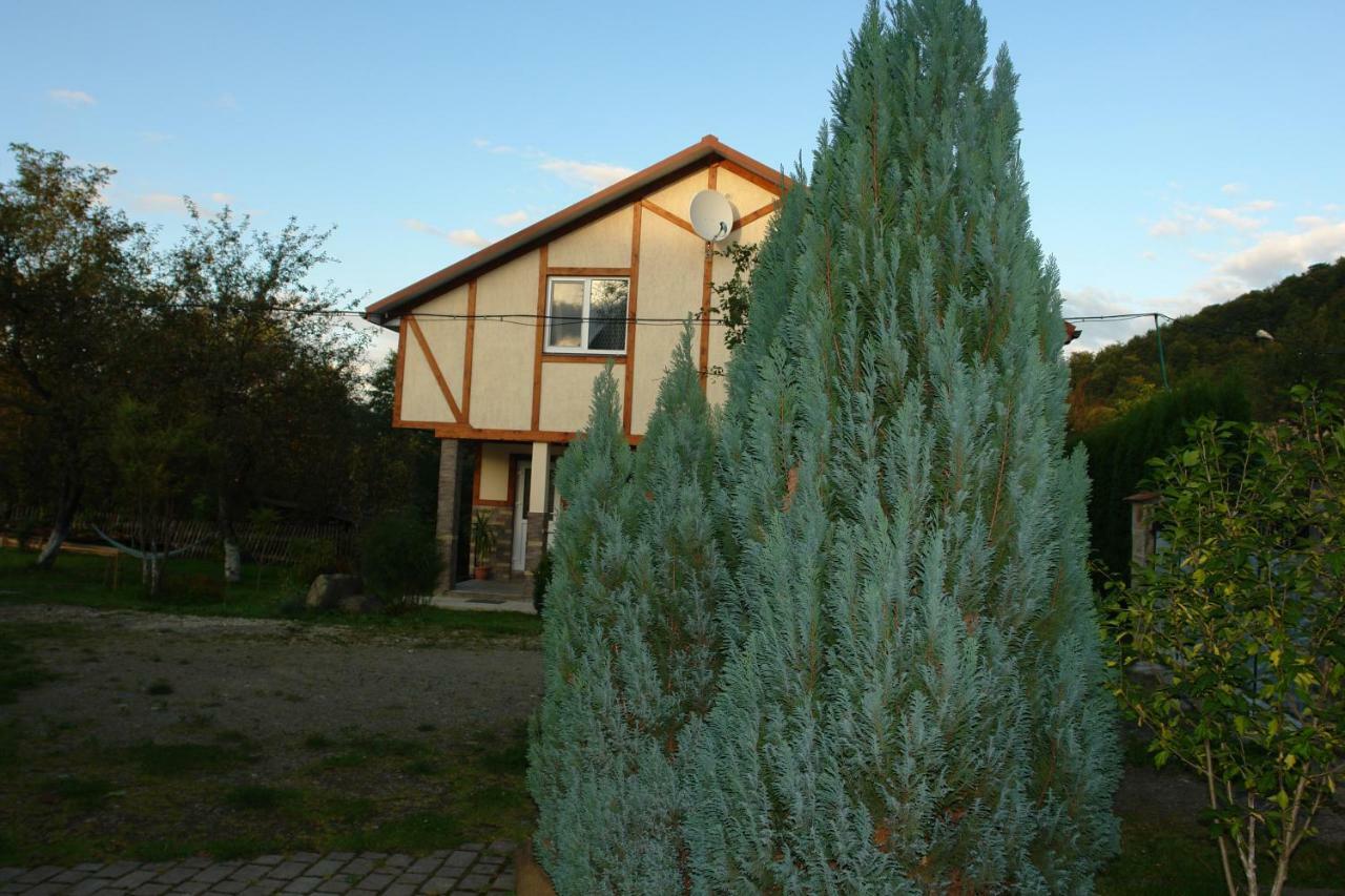 Zelena Sadyba Bila Stavka Jaremče Exteriér fotografie